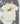 Lust for Life T-shirt