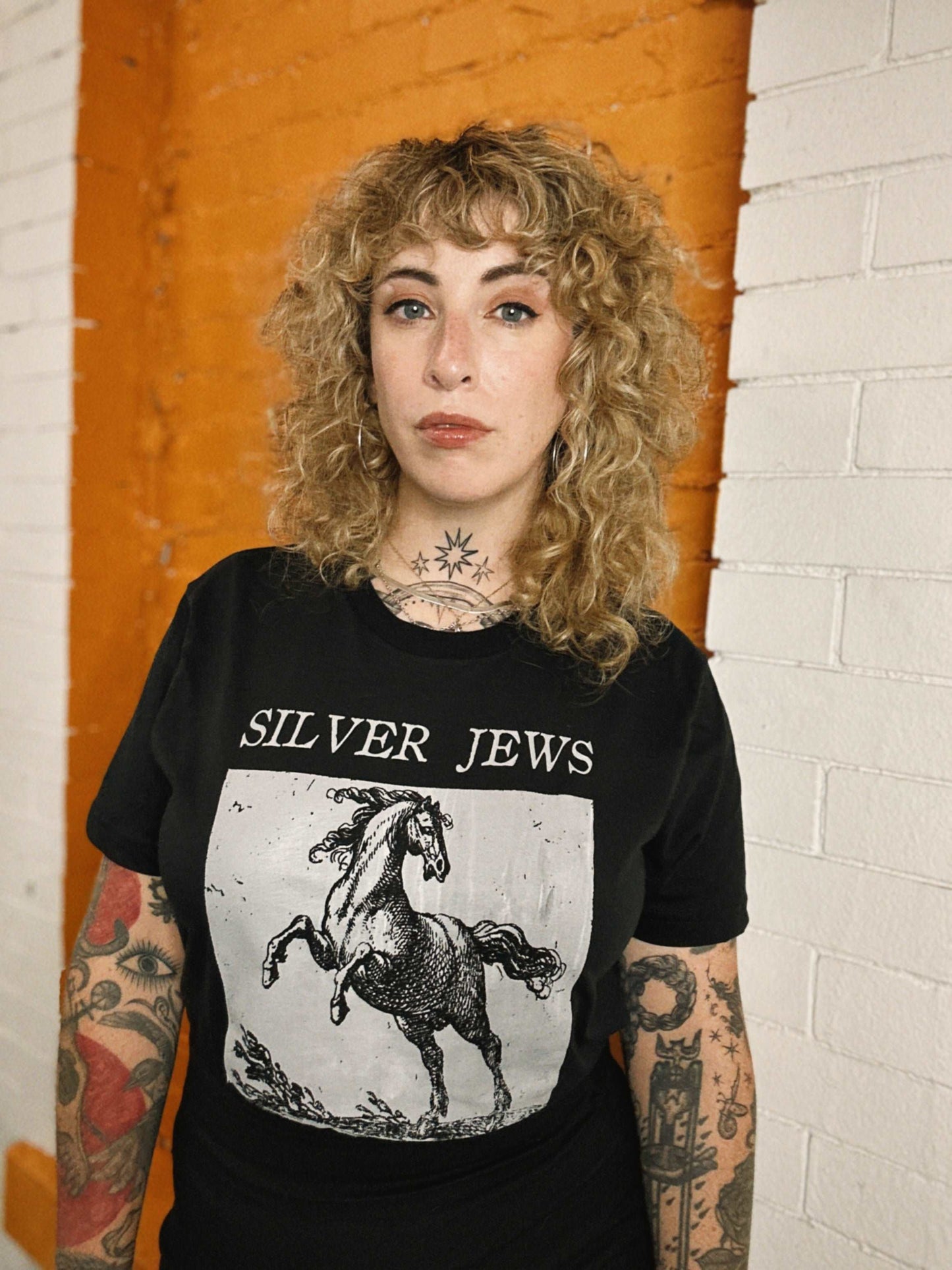 Silver Jews Tribute Punk T-Shirt