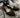 Eileen Fisher D'Orsay KIitten Heels 8.5