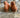 The Great Fringe Chukka Ankle Boot 9