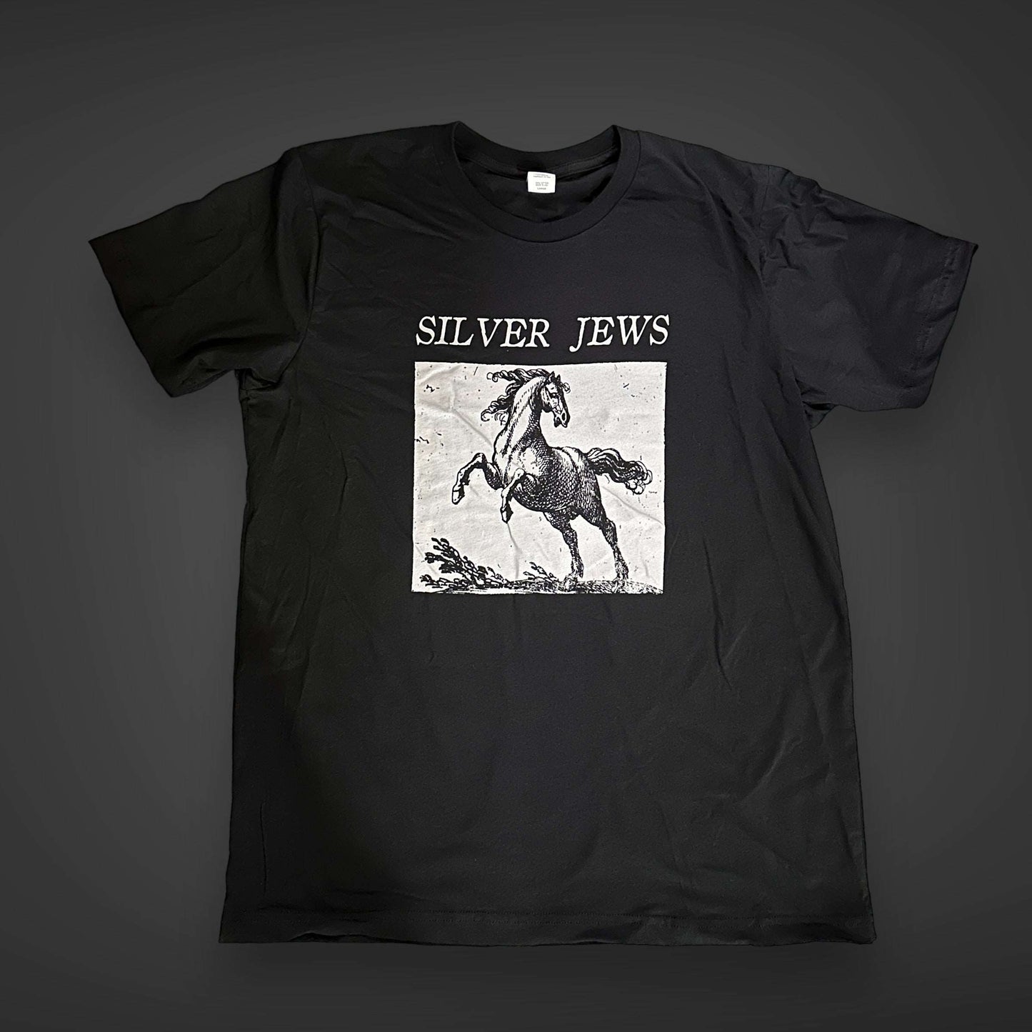 Silver Jews Tribute Punk T-Shirt