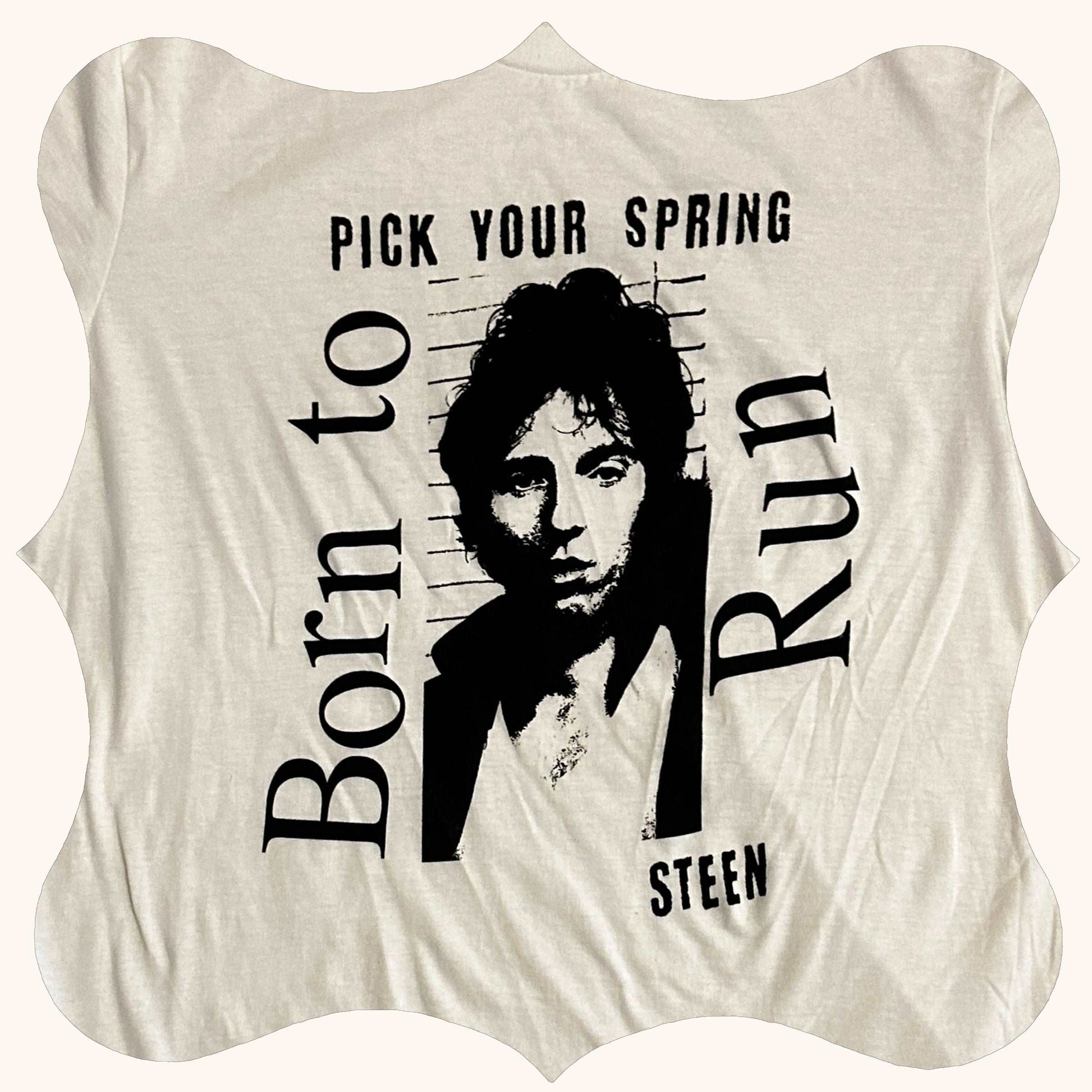 Bruce Springsteen // Poison Idea Pick Your Spring T-shirt